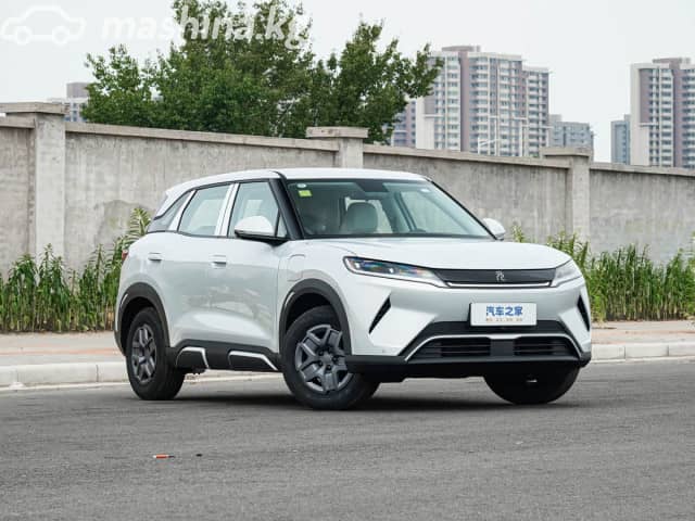 BYD Yuan Up Electro AT 4WD