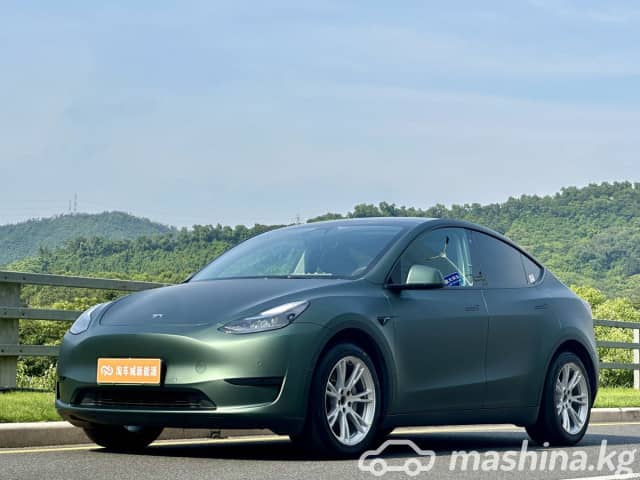 Tesla Model Y I Standard Electro AT