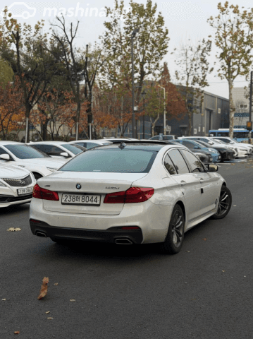 BMW 5 серии VII (G30/G31) 520d xDrive 2.0d AT 4WD