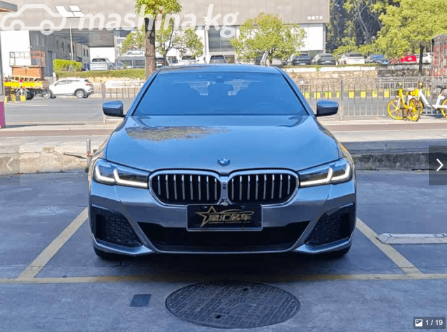 BMW 5 серии VII (G30/G31) Рестайлинг 530Li 2.0 AT