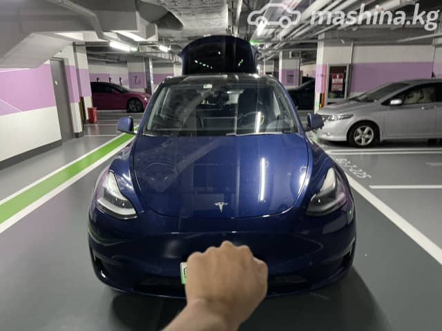 Tesla Model Y I Long Range Electro AT 4WD