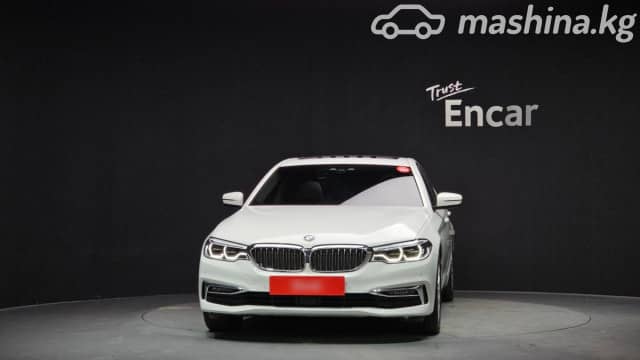 BMW 5 серии VII (G30/G31) 530i xDrive 2.0 AT 4WD