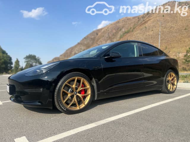 Tesla Model 3 I Performance Electro AT 4WD