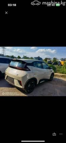 BYD Seagull 38.88 kWh Electro AT