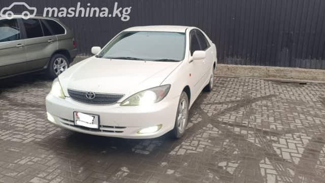 Toyota Camry V (XV30) 2.4 AT
