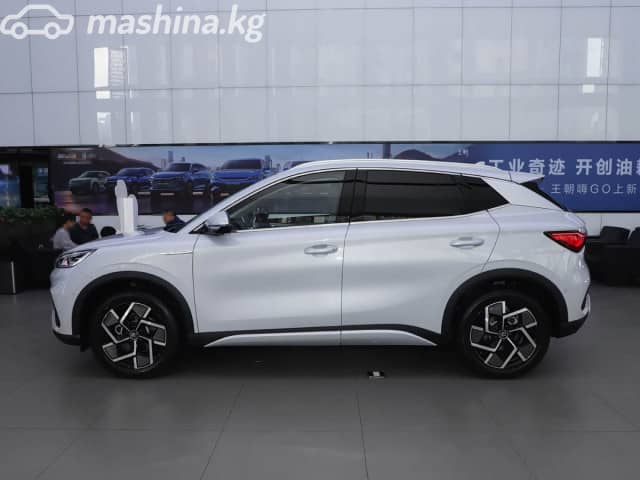 BYD Yuan Plus Extended Range Electro AT
