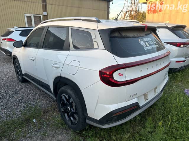Hyundai Mufasa I (NU2) 2.0 AT