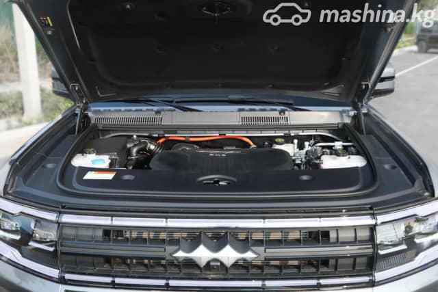 BYD FangChengBao Leopard 5 1.5hyb CVT 4WD