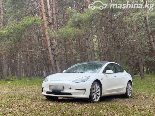 Tesla Model 3 I Standart Plus Electro AT