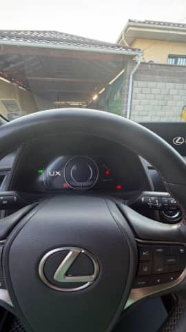 Lexus UX I 250h 2.0hyb CVT