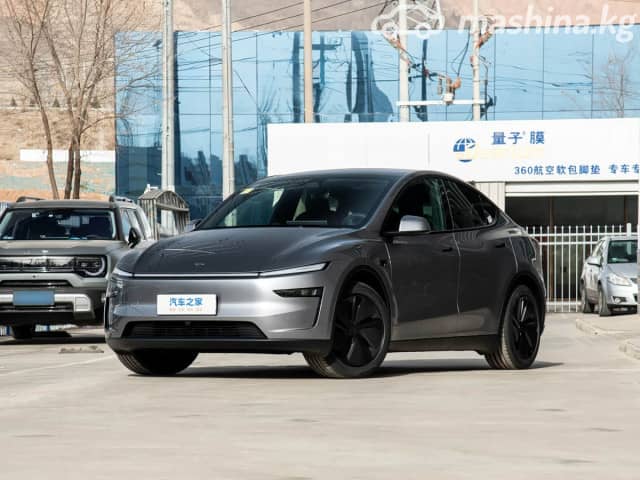 Tesla Model Y I Long Range Electro AT