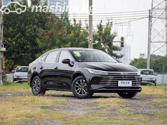 BYD Destroyer 05 1.5hyb AT