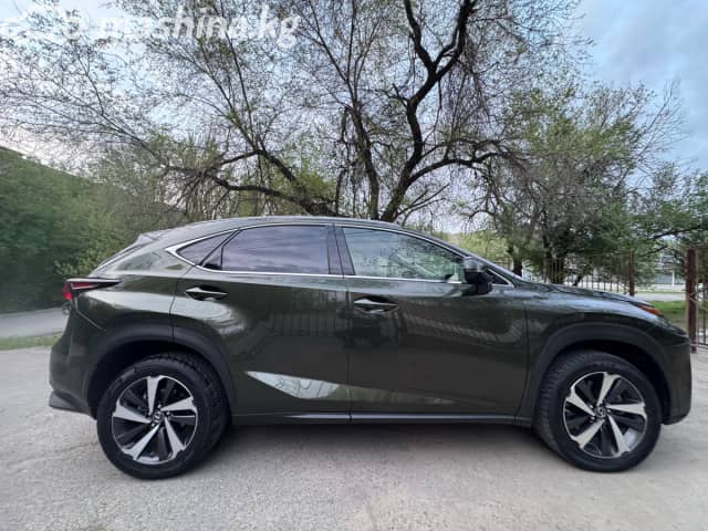 Lexus NX II 250 2.5 AT