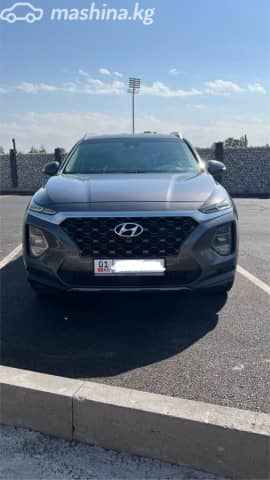 Hyundai Santa Fe IV 2.0 AT 4WD