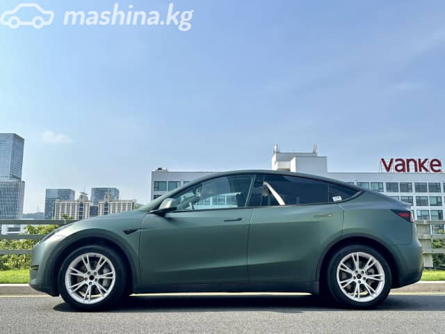 Tesla Model Y I Standard Electro AT