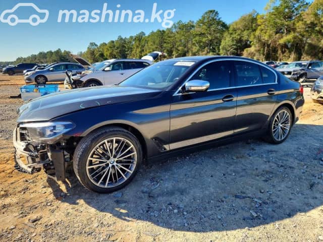 BMW 5 серии VII (G30/G31) 530i 2.0 AT