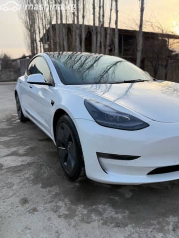 Tesla Model 3 I Performance Electro AT 4WD