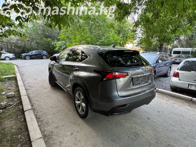Lexus NX I 300h 2.5hyb CVT 4WD