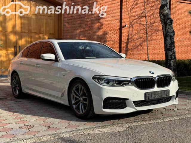 BMW 5 серии VII (G30/G31) 520d xDrive 2.0d AT 4WD