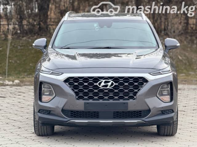 Hyundai Santa Fe IV 2.2d AT 4WD