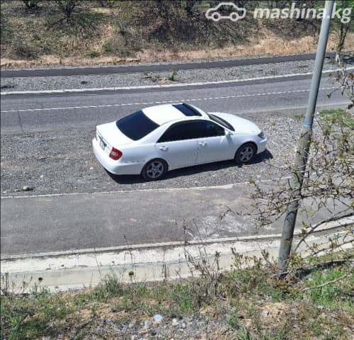 Toyota Camry V (XV30) 2.4 AT