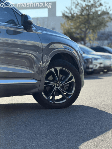 Hyundai Santa Fe IV 2.2d AT 4WD