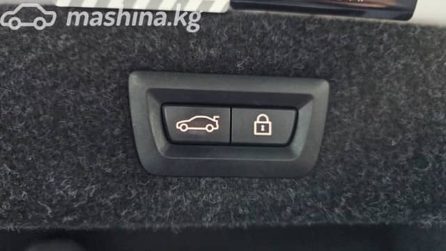 BMW 5 серии VII (G30/G31) 530i xDrive 2.0 AT 4WD
