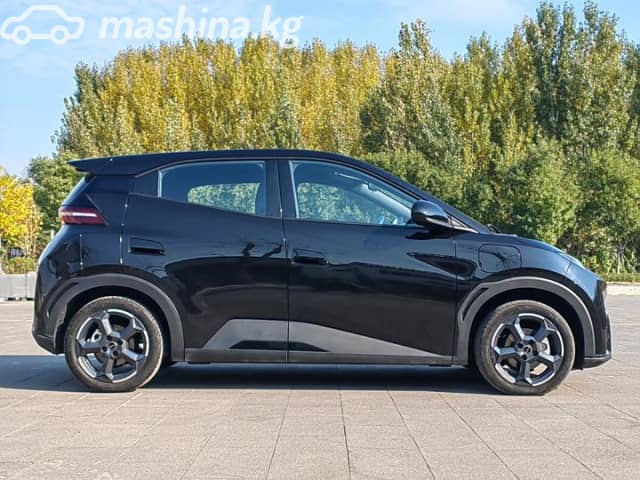 BYD Seagull 38.88 kWh Electro AT