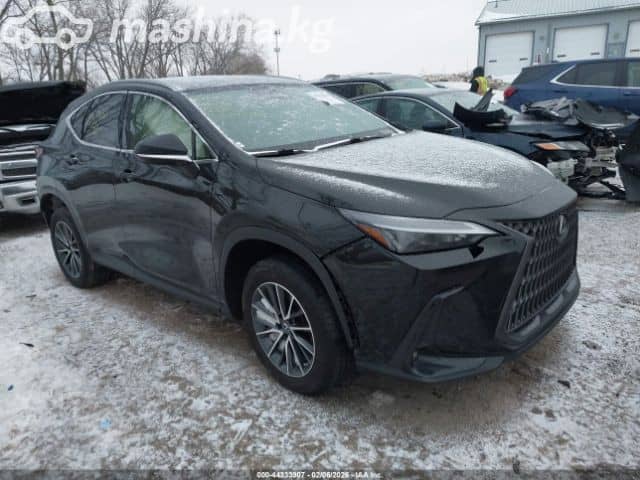 Lexus NX II 250 2.5 AT 4WD