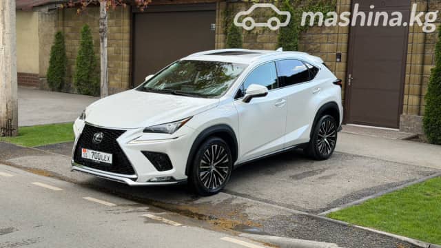 Lexus NX I Рестайлинг 300 2.0 AT 4WD