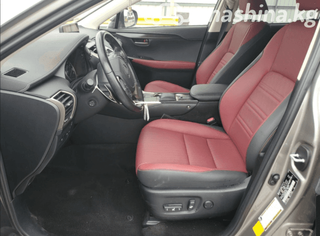 Lexus NX I Рестайлинг 300 2.0 AT 4WD