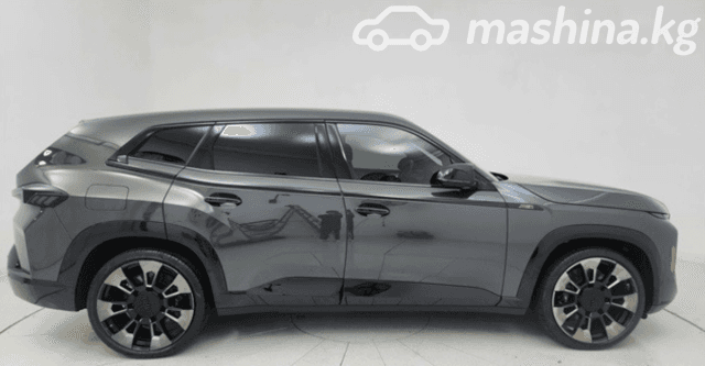 BMW XM 4.4hyb AT 4WD