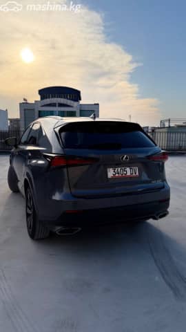 Lexus NX I Рестайлинг 300 2.0 AT 4WD