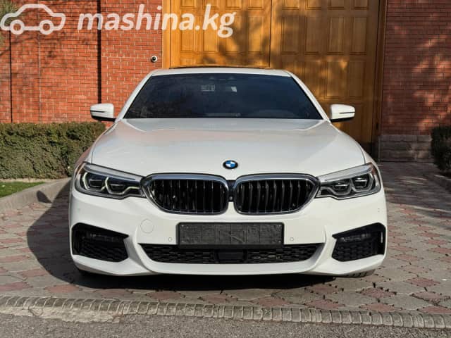 BMW 5 серии VII (G30/G31) 520d xDrive 2.0d AT 4WD