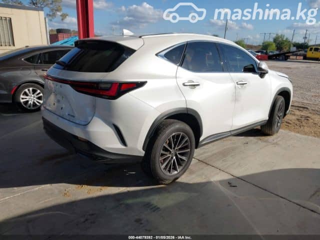 Lexus NX II 250 2.5 AT