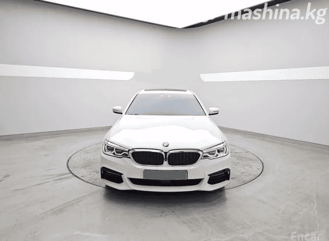 BMW 5 серии VII (G30/G31) 530i xDrive 2.0 AT 4WD