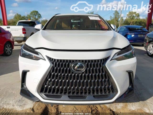 Lexus NX II 250 2.5 AT