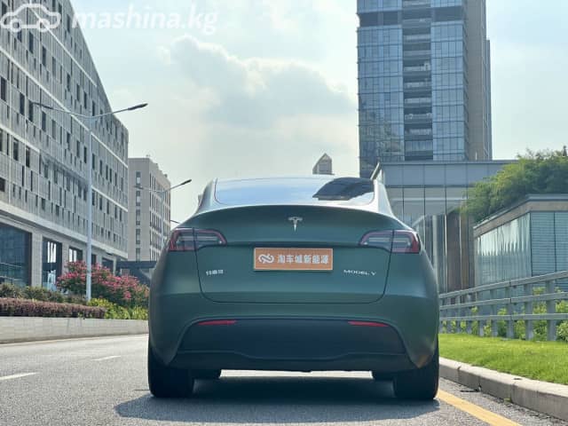 Tesla Model Y I Standard Electro AT