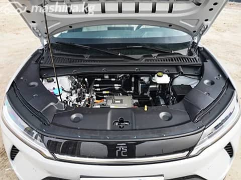 BYD Yuan Up 45.12 kWh Electro AT