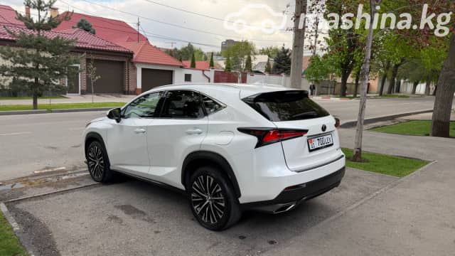 Lexus NX I Рестайлинг 300 2.0 AT 4WD