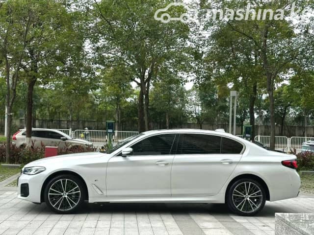 BMW 5 серии VIII (G60/G61/G68) 530Li 2.0 AT