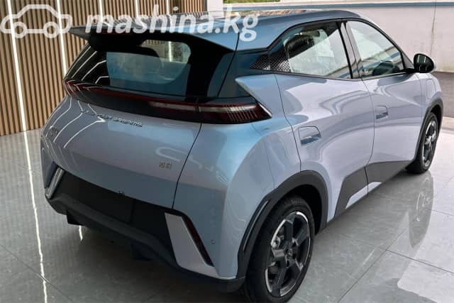 BYD Seagull 38.88 kWh Electro AT