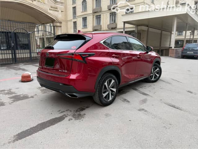 Lexus NX I Рестайлинг 300 2.0 AT 4WD