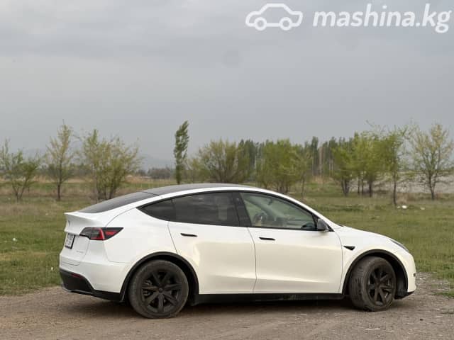 Tesla Model Y I Long Range Electro AT 4WD