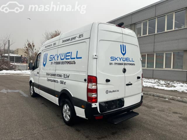 Skywell D11