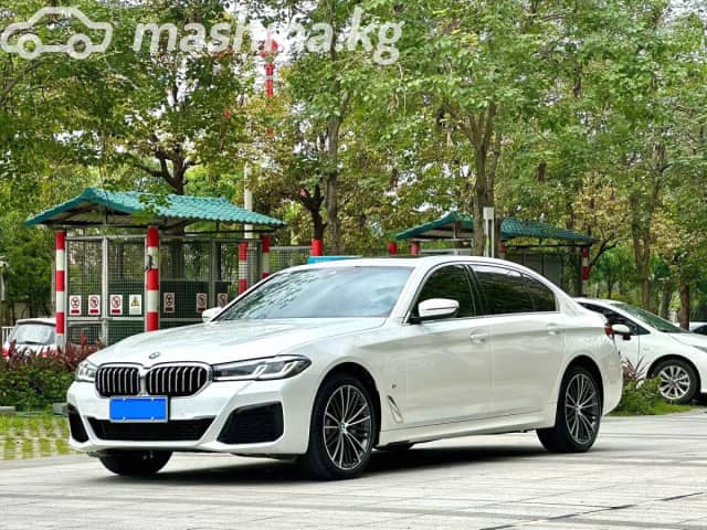 BMW 5 серии VIII (G60/G61/G68) 530Li 2.0 AT
