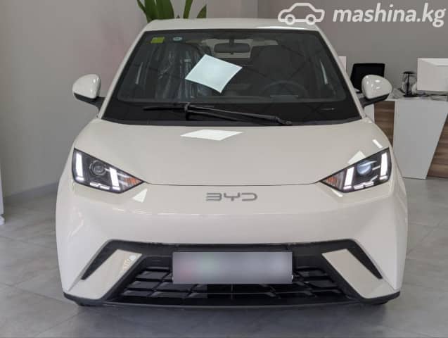BYD Seagull 30.08 kWh Electro AT
