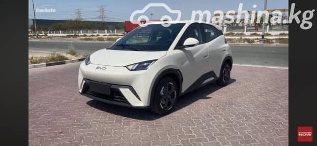 BYD Seagull 38.88 kWh Electro AT
