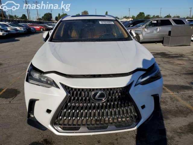 Lexus NX II 250 2.5 AT