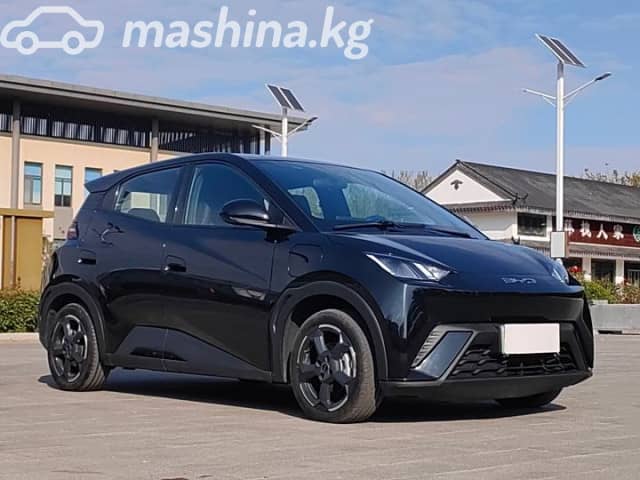 BYD Seagull 38.88 kWh Electro AT